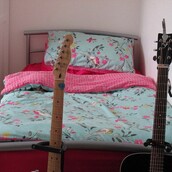 Μα πού κρύφτηκαν όλες οι γάτες;