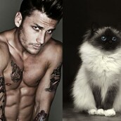 Μοντέλα ή γάτες; (vol ΙΙ)