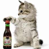 Δεν θα πίνεις πια μόνος, αφού κυκλοφορεί επισήμως και κρασί για γάτες