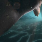 Endrip: Αυτό που βλέπεις καθώς πεθαίνεις 