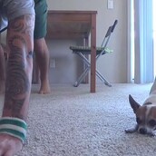 Άντρας και σκύλος κάνουν γιόγκα