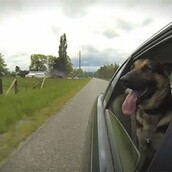 Θέλετε να ευθυμήσετε αμέσως; Δείτε αυτό