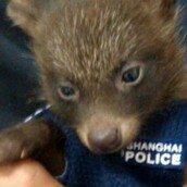 Ο πιο γλυκός αστυνομικός