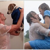 Ένας υπέροχος σκύλος τρυπώνει σε 10 διάσημες κινηματογραφικές σκηνές