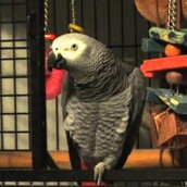 Ααααααψου!!!