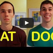 Μοιάζουν οι φίλοι σας με γάτες ή με σκύλους;