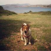 #LIFOPETS (7): Αυτά είναι τα κατοικίδιά μας