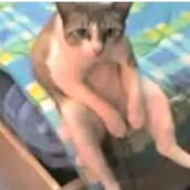 Αυτά είναι σεκλέτια...!