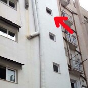 Γκύζη: Του πέταξε τον γάτο από τον πέμπτο όροφο!