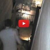 Ο ιδρυτής του Digg σώζει το σκύλο του απ' την επίθεση ρακούν 