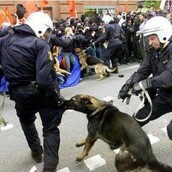 28 φωτογραφίες που μοιράστηκαν φρενιτιωδώς