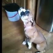 Tα πρώτα τους "λόγια" 