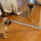 Μια σχέση… αγάπης και μίσους!