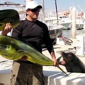 Ποτέ μην καμαρώνεις όταν τριγύρω υπάρχουν φώκιες [video]