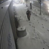 Ο εκχιονισμός του Μπρούκλιν 