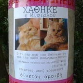 Αναζητείται η Μισιρλού