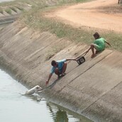 14 άνθρωποι κάνουν υπέροχα πράγματα για τα ζώα
