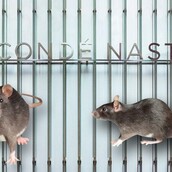 Τα νέα γραφεία της Vogue έχουν ποντίκια