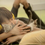 Πώς μπορεί το παιχνίδι με γατάκια να μειώσει άμεσα το στρες;