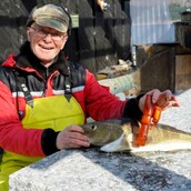 Κάποιος πετάει δονητές στη θάλασσα