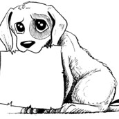 Το γράμμα του Αδέσποτου στο δήμαρχο κάθε πόλης