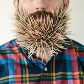 Θα μείνει στο μούσι του;