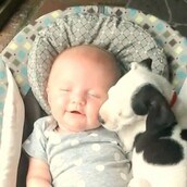 Οι καλύτεροι φίλοι του κόσμου