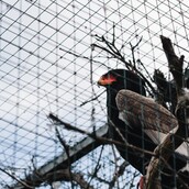 Aύριο στο LIFO.gr: Oι αιχμάλωτοι των Αθηνών