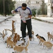 O άντρας που ταΐζει τις αδέσποτες γάτες της εγκαταλελειμμένης γειτονιάς στη Συρία