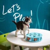 Αυτό είναι το πρώτο καφέ με γάτες στις ΗΠΑ!