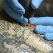 "Χτύπα μου ένα Cattoo!"