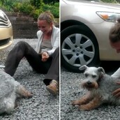  Ο σκύλος που λιποθύμησε από τη χαρά του