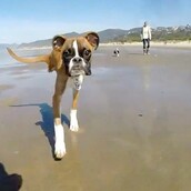 Ο Duncan Lou Who στην παραλία 