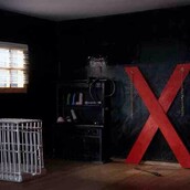 Crash test: Porn world V/S Real world