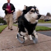 Ο Derby τρέχει ευτυχισμένος για πρώτη φορά