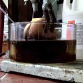 Έτσι γίνεται ένα burger μέσα στο στομάχι σας