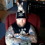 Χέβι μέταλ γάτες 