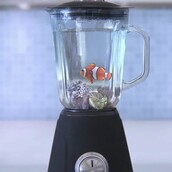 O Nemo πέθανε στο μπλέντερ 