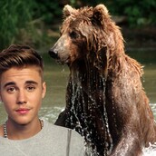 Τραγούδι του Justin Bieber τρομάζει αρκούδα
