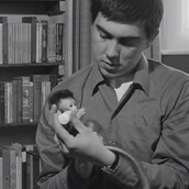 Το πιο γλυκό και μικροσκοπικό μαϊμουδάκι (BINTEO)