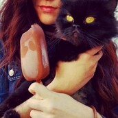 #LIFOPETS (38): Αυτά είναι τα κατοικίδιά μας