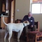 'Ενας άντρας με Αλτσχάιμερ ανακτά στιγμιαία την ομιλία του για να χαιρετήσει ένα σκυλί!