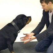 "Μα πού πήγε το μπισκότο;"