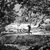 25 συμβουλές ζωής από ένα γεροβοσκό