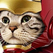 Αυτή η γάτα είναι διάσημη στην Κίνα για τις τέλειες μεταμφιέσεις της 