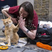 Ένας γάτος κάνει έναν άστεγο εκατομμυριούχο!