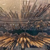 Πώς θα έβλεπες τον κόσμο αν ήσουν πουλί; 