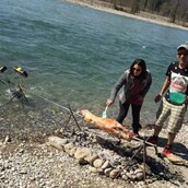 Πώς έψησαν αρνί το Πάσχα οι Έλληνες στην Ελβετία