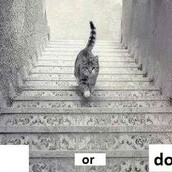 O νέος γρίφος του ίντερνετ! Αυτή η γάτα ανεβαίνει ή κατεβαίνει τις σκάλες;