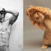 Το διάσημο "Γάτες εναντίον σέξι αγοριών" έγινε βιβλίο!